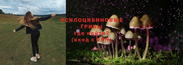 СК Нефтекумск