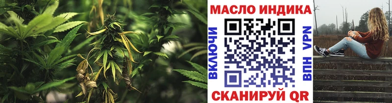 Купить закладки  Ревда  Дистиллят ТГК THC oil 